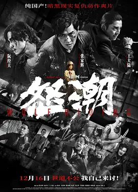 怒潮[电影解说]封面图
