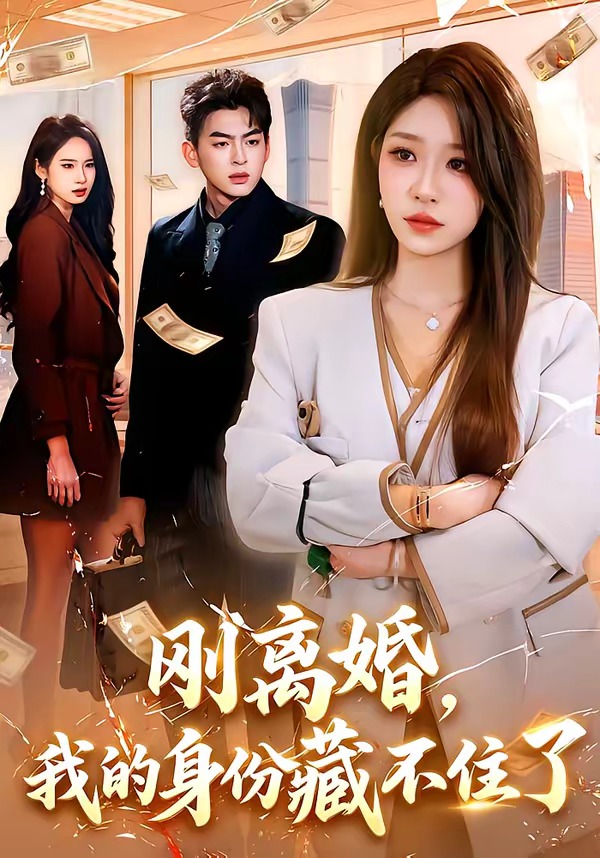 刚离婚，我的身份藏不住了封面图