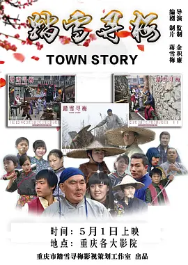 踏雪寻梅[电影解说]封面图