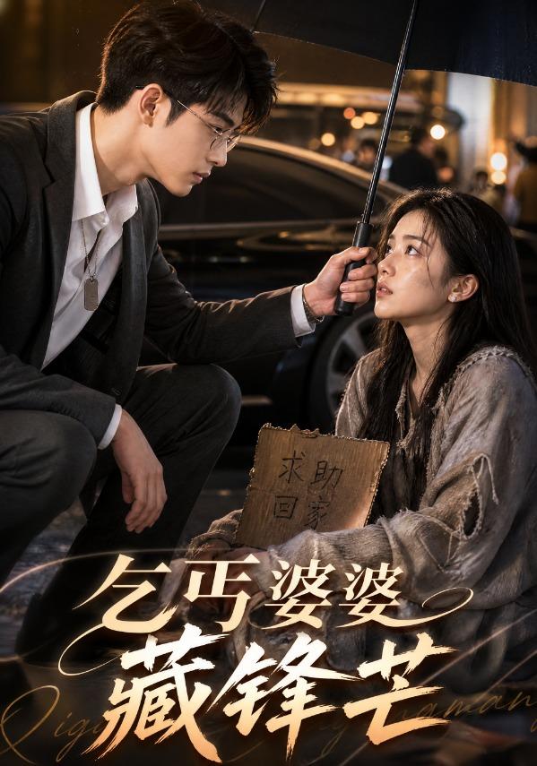 乞丐婆婆藏锋芒封面图